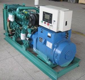 芦淞发电机出租